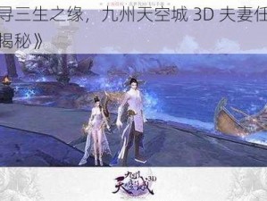 《寻三生之缘，九州天空城 3D 夫妻任务大揭秘》