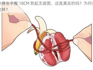 体育生手握 18CM 勃起无遮图，这是真实的吗？为何会这样？