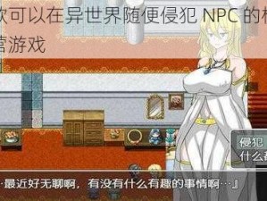 一款可以在异世界随便侵犯 NPC 的模拟经营游戏