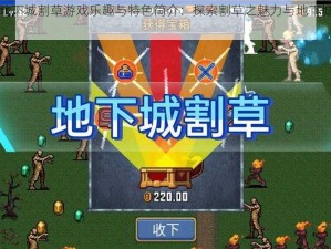 恶魔地下城割草游戏乐趣与特色简介：探索割草之魅力与地下城的神秘