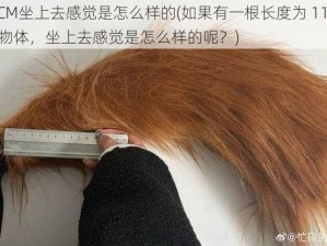 11CM坐上去感觉是怎么样的(如果有一根长度为 11CM 的物体，坐上去感觉是怎么样的呢？)