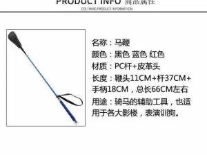 马操人专业训练工具，提升马术技能的秘密武器