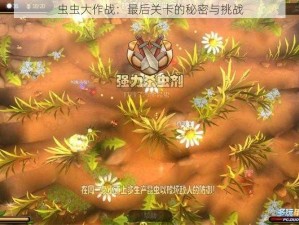 虫虫大作战：最后关卡的秘密与挑战