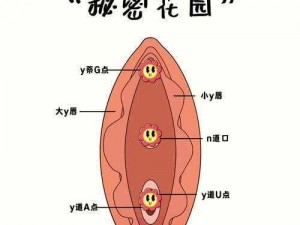 自 w 到高 c 的 16 种方法：探索极致愉悦的私密指南