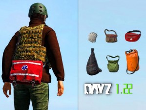 DayZ 独立版莫辛 8 倍镜使用心得：探索真实战场的必备神器