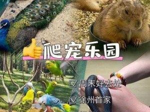 宠物研究所助力神龙乐园打造全新游玩体验