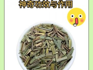 AAAA 草死我了，就是这款能让你爽翻天的神奇产品