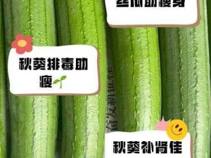 秋葵草莓丝瓜黄瓜绿巨人2021 请详细介绍一下秋葵草莓丝瓜黄瓜绿巨人 2021 的相关信息及用途等