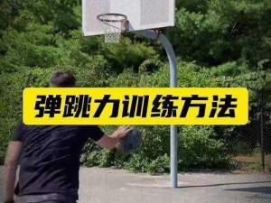 NBA2K13 补扣方法大揭秘教你轻松成为空中飞人