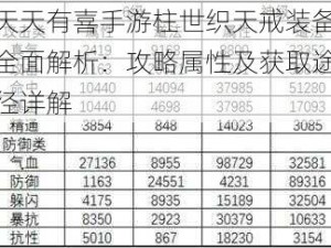 天天有喜手游柱世织天戒装备全面解析：攻略属性及获取途径详解