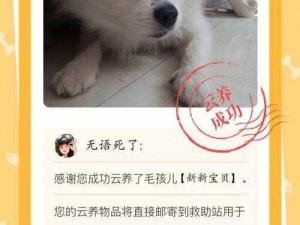 云养萌宠，尽享幸福时光——乌拉拉小镇的治愈力量