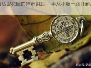 开启私密花园的神奇钥匙——手从小腹一路开到丛林处