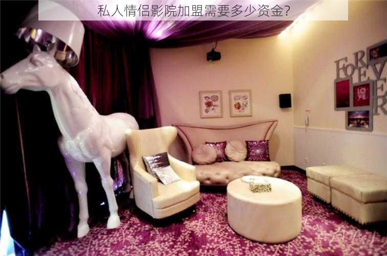 私人情侣影院加盟需要多少资金?