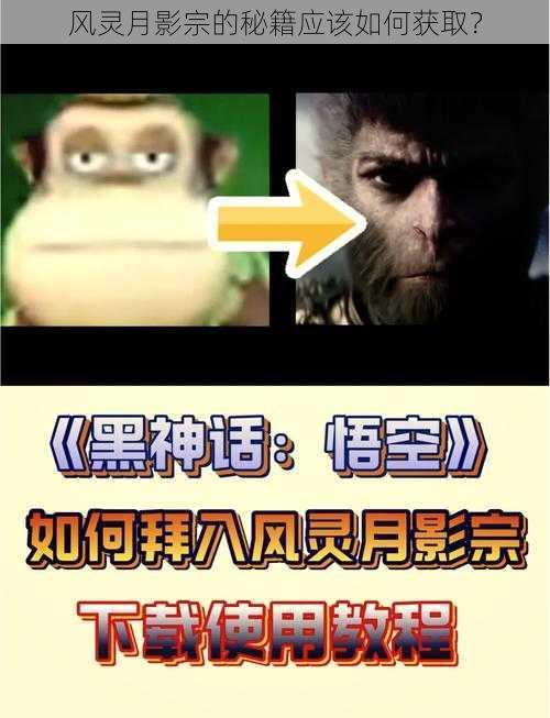风灵月影宗的秘籍应该如何获取?