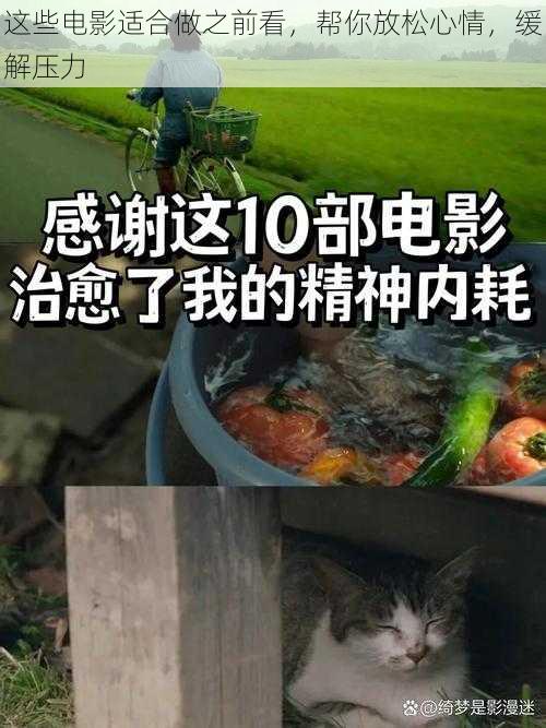 这些电影适合做之前看,帮你放松心情,缓解压力