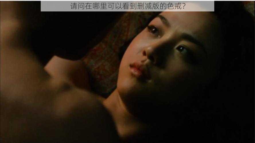 请问在哪里可以看到删减版的色戒?