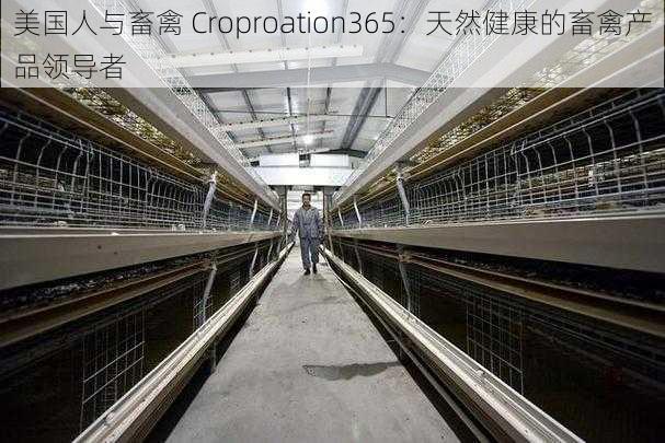 美国人与畜禽 Croproation365：天然健康的畜禽产品领导者