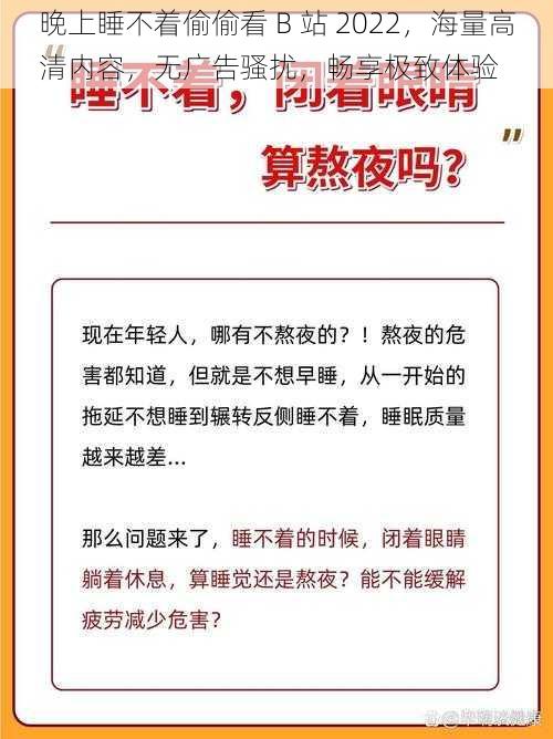 晚上睡不着偷偷看 B 站 2022，海量高清内容，无广告骚扰，畅享极致体验