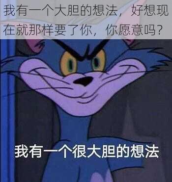 我有一个大胆的想法，好想现在就那样要了你，你愿意吗？