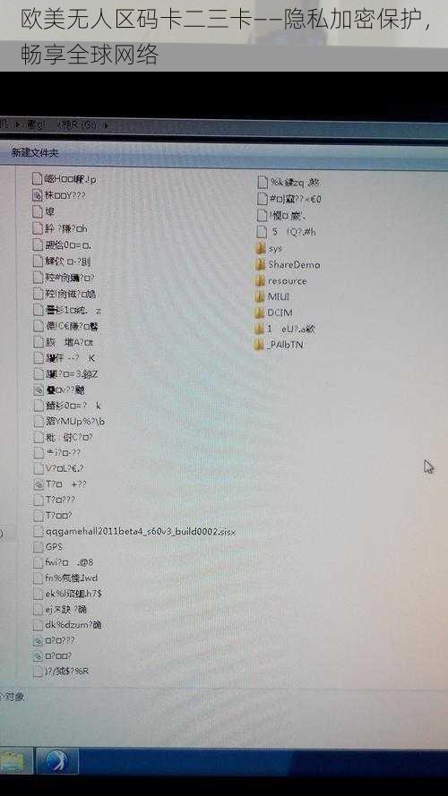 欧美无人区码卡二三卡——隐私加密保护，畅享全球网络