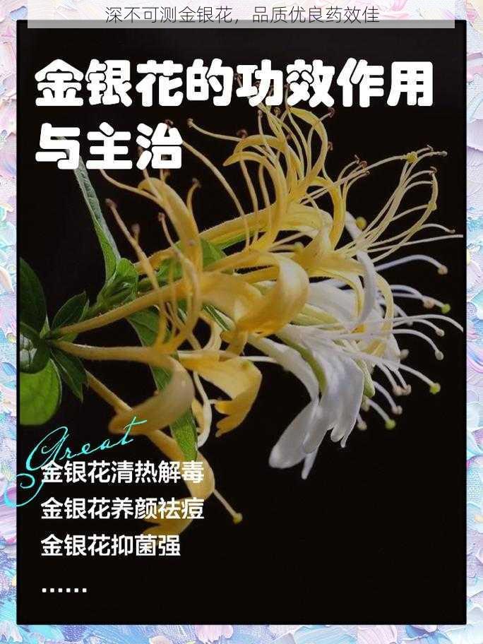 深不可测金银花，品质优良药效佳