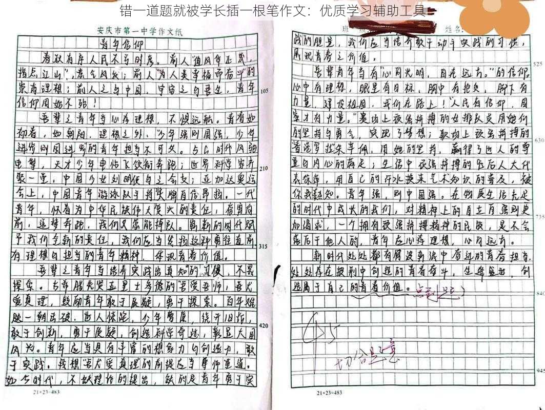 错一道题就被学长插一根笔作文:优质学习辅助工具
