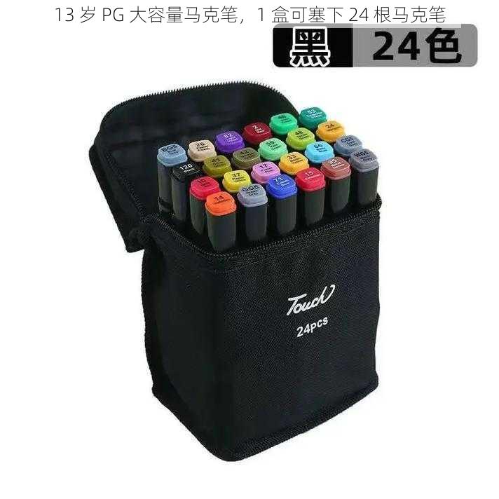 13 岁 PG 大容量马克笔,1 盒可塞下 24 根马克笔