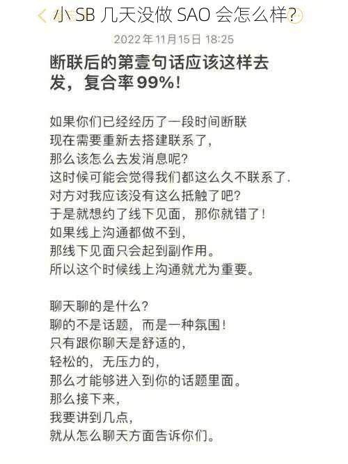 小 SB 几天没做 SAO 会怎么样？