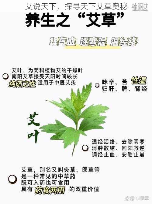 艾说天下，探寻天下艾草奥秘