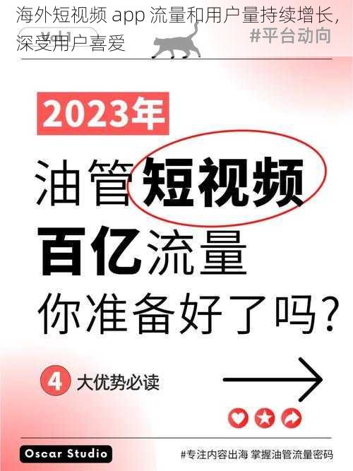 海外短视频 app 流量和用户量持续增长，深受用户喜爱