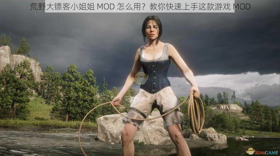 荒野大镖客小姐姐 MOD 怎么用？教你快速上手这款游戏 MOD