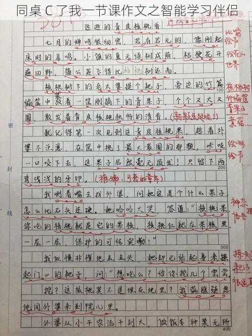 同桌 C 了我一节课作文之智能学习伴侣