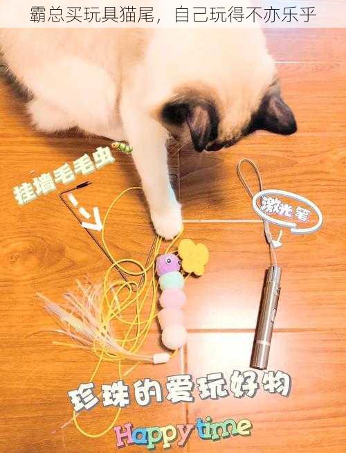 霸总买玩具猫尾，自己玩得不亦乐乎