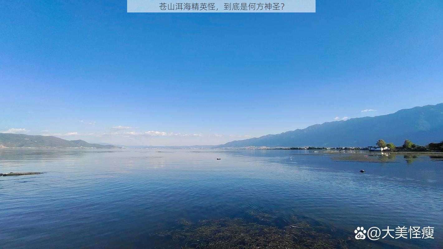 苍山洱海精英怪，到底是何方神圣？