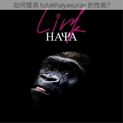 如何提高 tutakhayaxurax 的性能？