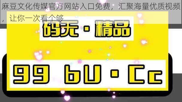 麻豆文化传媒官方网站入口免费，汇聚海量优质视频，让你一次看个够