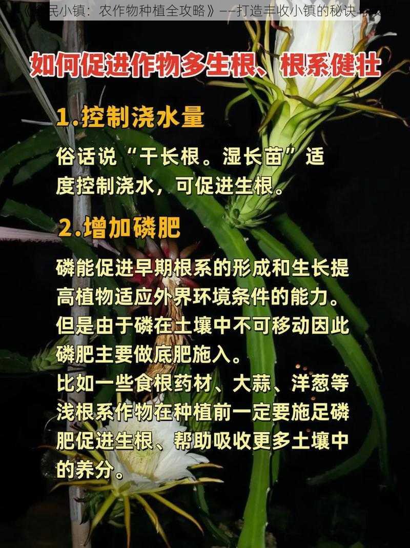 《全民小镇：农作物种植全攻略》——打造丰收小镇的秘诀与技巧