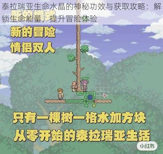 泰拉瑞亚生命水晶的神秘功效与获取攻略：解锁生命能量，提升冒险体验