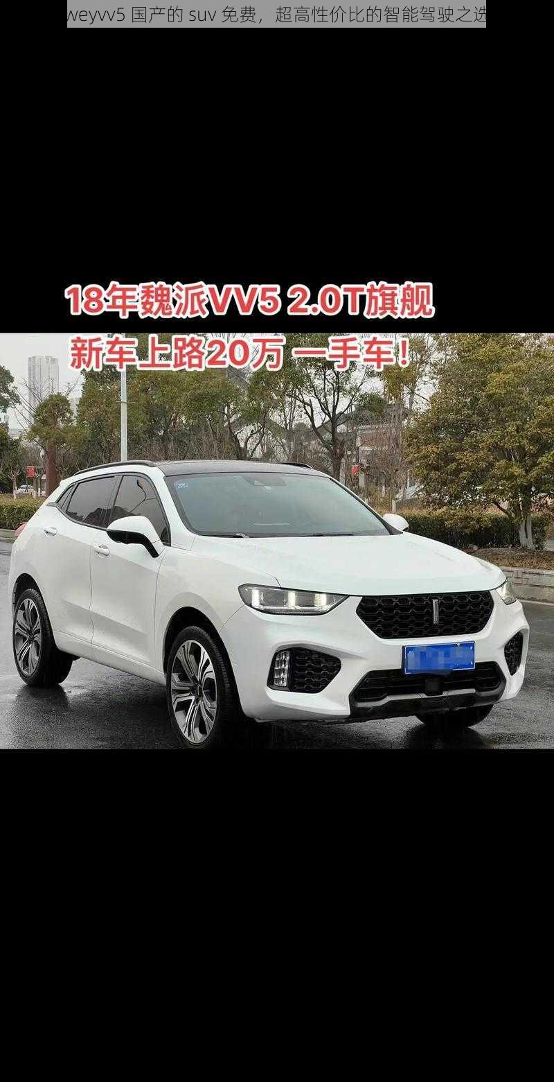 weyvv5 国产的 suv 免费，超高性价比的智能驾驶之选