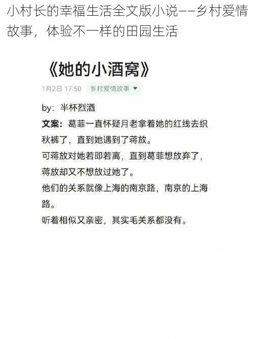 小村长的幸福生活全文版小说——乡村爱情故事，体验不一样的田园生活