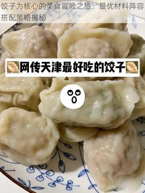 饺子为核心的美食冒险之旅：最优材料阵容搭配策略揭秘