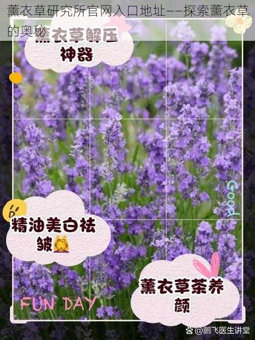 薰衣草研究所官网入口地址——探索薰衣草的奥秘