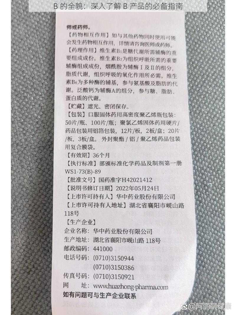 B 的全貌：深入了解 B 产品的必备指南