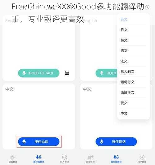 FreeChineseXXXXGood多功能翻译助手，专业翻译更高效