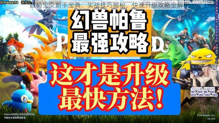 数码宝贝新手宝典：实战技巧揭秘，快速升级攻略全解析