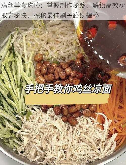 鸡丝美食攻略：掌握制作秘笈，解锁高效获取之秘诀，探秘最佳刷关路线揭秘