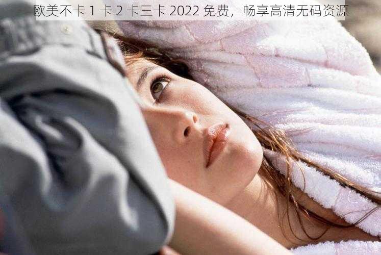 欧美不卡 1 卡 2 卡三卡 2022 免费，畅享高清无码资源