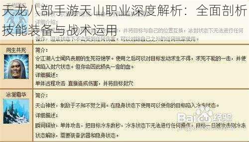 天龙八部手游天山职业深度解析：全面剖析技能装备与战术运用