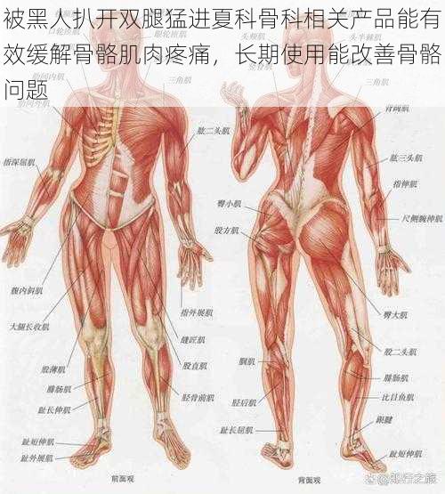 被黑人扒开双腿猛进夏科骨科相关产品能有效缓解骨骼肌肉疼痛，长期使用能改善骨骼问题