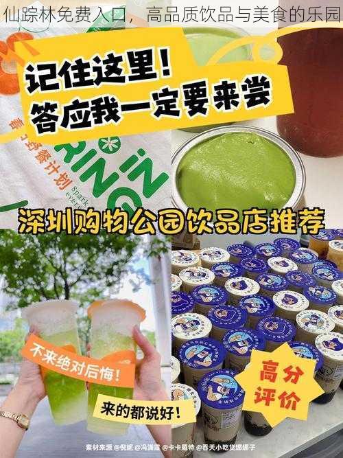 仙踪林免费入口，高品质饮品与美食的乐园